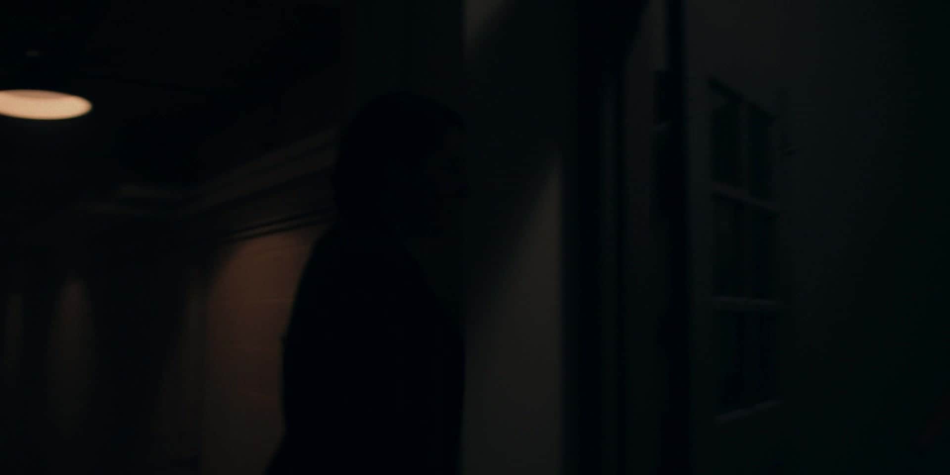 0241.jpg 0241.jpg