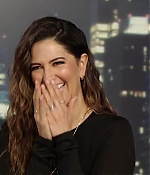 D'Arcy Carden Fan